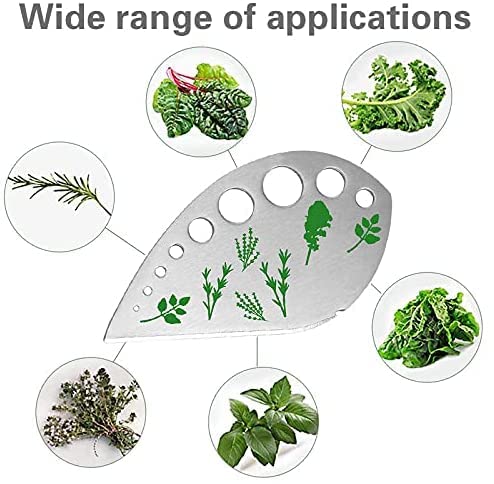 Herb Stripper, Jiaedge Green 9 holes Stainless Steel Kitchen Herbs Leaf Stripping Tool, Metal Herb Peeler for Kale, Collard Greens, Thyme, Basil, Rosemary Stripper - Grill Parts America