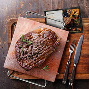 UMAID Himalayan Salt Block For Grilling, Cooking, Cutting and Serving,8X8X1.5 Food Grade Himalayan Pink Salt Stone on Stainless Steel Plate & Recipe Pamphlet, Unique Gifts for Men, Women, Chef, Cooks - Grill Parts America