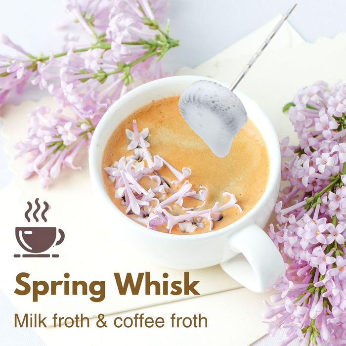 Rechargeable Milk Frother Battery Operated,2-Speed Portable Travel Frother,Electric Milk Foamer Coffee Frother for Latte, Cappuccino, Hot Chocolate Drink Mixer with Double Mini Whisks and USB Cable - Grill Parts America