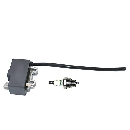 AAPIE Replaceable Parts- Ignition Coil Spark Plug BM6A Echo PB-255LN PB-251 ES255 PB265L PB265LN Leaf Blower Vacumm Magneto Parts#A411000290 A425000100 - Grill Parts America