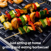 Indoor Grill  Electric Smokeless Grill Portable Korean BBQ, Blue