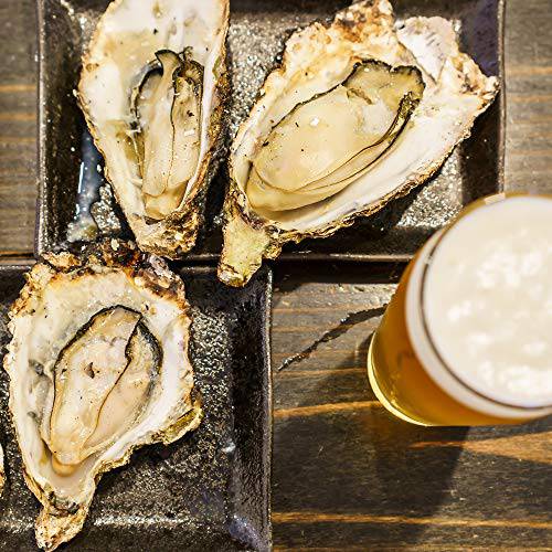 Outset 76225 Cast Iron Oyster Grill Pan, 12 Cavities, Black - Grill Parts America