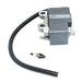 Coil Ignition With Spark Plug BM6A For Echo Blower ES-255 PB-251 PB-255 PB-255LN PB-265L PB-265LN Parts# A411000290 15901019830 - Grill Parts America
