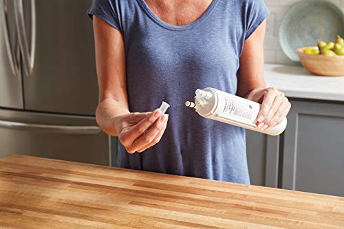 Frigidaire PureSource Ultra Water and Ice Refrigerator Filter, Original, White, 1 Count & Electrolux EAFCBF Pure Advantage Air Filter, 1 Count (Pack of 1) - Grill Parts America