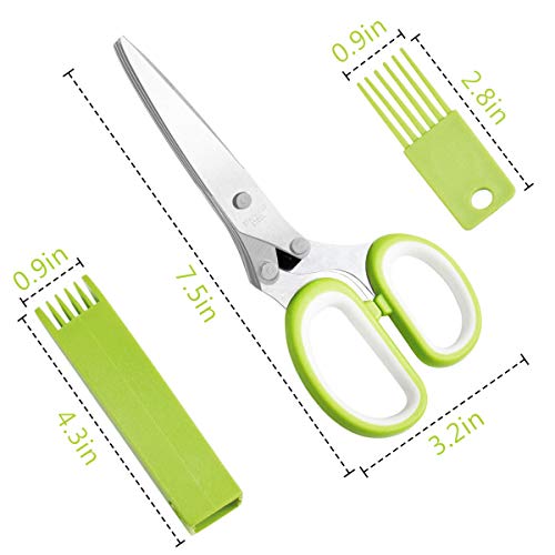 Spring Chef - Bench Scraper, Stainless Steel Nut, Pie, Pastry, Pizza and  Dough Cutter, Kitchen Essential for Cleaning Counters, Includes Bowl  Scraper for Curved Surfaces, Red