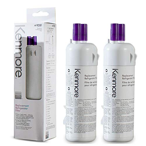 Kenmore Refrigerator Replacement 1, ,9930,9081 Water Filter, White, (2