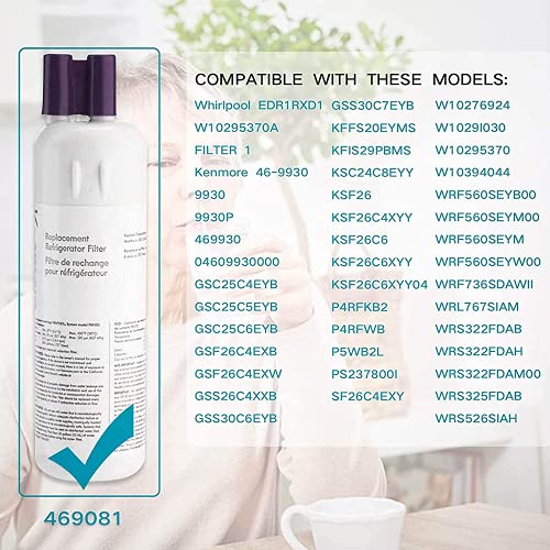 Kenmore 469081 Replacement Refrigerator Water Filter 1pk - Grill Parts America