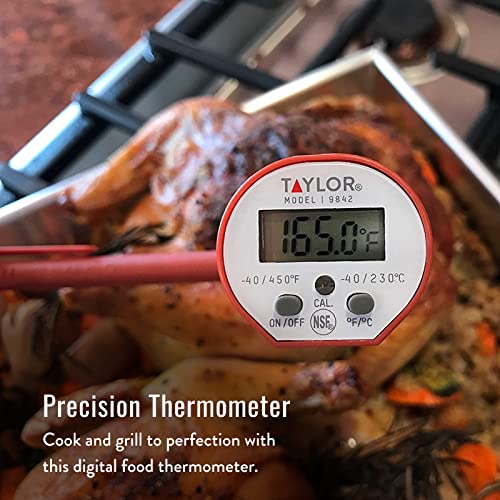 DeltaTrak 11050 Professional Digital Meat Thermometer for Kitchen  Waterproof Lollipop Thermometer NSF Certified