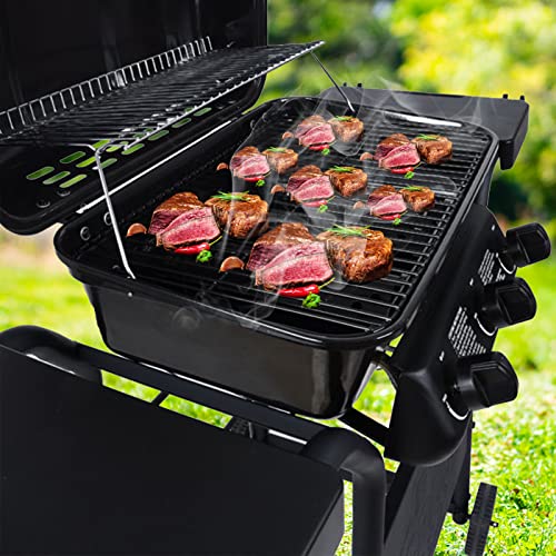 Portable Gas Grill Walmart Expert Grill Tabletop Electric Grill