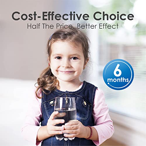 Waterdrop UKF8001 Refrigerator Water Filter 4, Compatible with Whirlpool EDR4RXD1, EveryDrop Filter 4, Maytag UKF8001AXX-750, UKF8001AXX-200, 46-9006, Puriclean II, WD-F07, 3 Filters - Grill Parts America