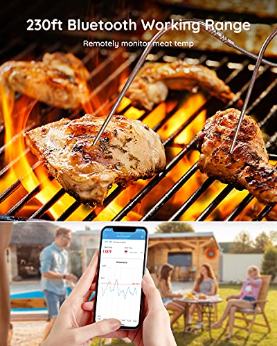  Govee WiFi Meat Thermometer with 4 Probe, Smart Bluetooth Grill  Thermometer with Remote App Notification Alert, Digital Rechargeable BBQ  Thermometer for Smoker Oven Kitchen: Home & Kitchen
