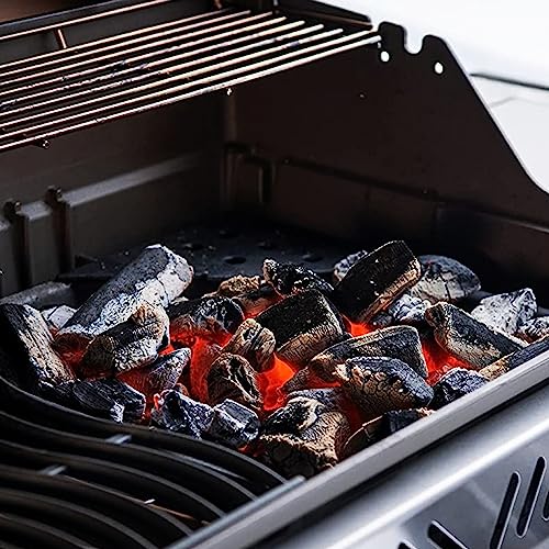 Charcoal Tray Grill Replacement Parts for Napoleon Grill Parts Prestige 500 67732 Charcoal Holder Prestige Pro 500 665 Lex 485 Parts Charcoal Basket Wood Chip Pan Charbroil Gas 2 Coal Smoke Box Parts - Grill Parts America