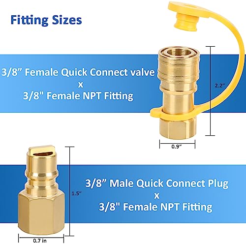 ATKKE 3/8 Inch Natural Gas Quick Connect Fittings Kit, LP Propane Gas Hose  Quick Disconnect Assembly Set for Low Pressure Propane/Natural Gas Systems,  6 Pieces