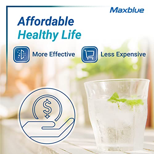 Maxblue RPWFE (with CHIP) NSF 401 Certified Refrigerator Water Filter, Replacement for GE® RPWFE, RPWF, WSG-4, WF277, GFE28GMKES, PFE28KBLTS, GFD28GSLSS, PWE23KSKSS, GYE22HMKES, DFE28JSKSS - Grill Parts America