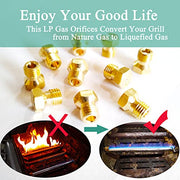 MEANHDAG Grill LP Gas Conversion Kit for Weber, Brass Jet Nozzle for Propane  10 PCS, Orifice Hole Size 0.5mm, M6x0.75mm - Grill Parts America