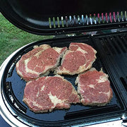 Cast Iron Grill Griddle and Cooking Grate for Coleman Roadtrip Swaptop Grill 285 Series LX LXE LXX X-Cursion - Grill Parts America