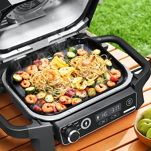 GRISUN Enamel Cast Iron Griddle for XSKGRDPLT Woodfire, Compatible for Ninja Woodfire Grills OG700 Series, Outdoor Flat Top Griddle Plate with Oil Hole - Grill Parts America