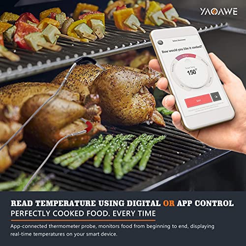 iGrill Pro Meat Probe Replacement for Weber Genesis/Spirit Gas and SmokeFire Pellet Grills, 2.5mm Plug Temperature Probe Kit for Weber Connect Smart - Grill Parts America