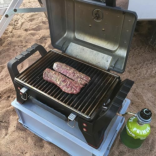 BQMAX 29102780 Grill Grate for Charbroil Grill2Go X200 Tru-Infrared 12401734, 13401856, 12401734-A1, 21401734, 21401856, Cooking Grate Replacement Parts for Charbroil Grill2Go - Grill Parts America