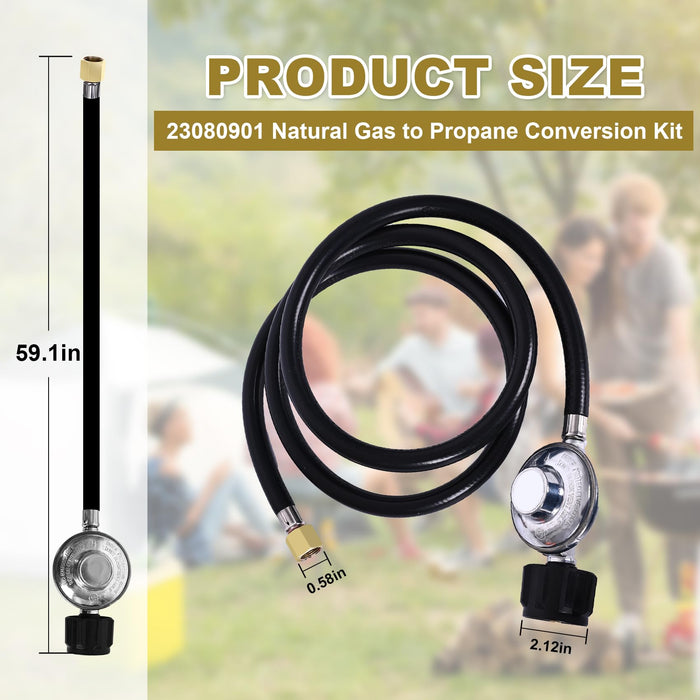 Elyaspedy 23080901 Natural Gas to Propane Conversion Kit for Weber Gen ...