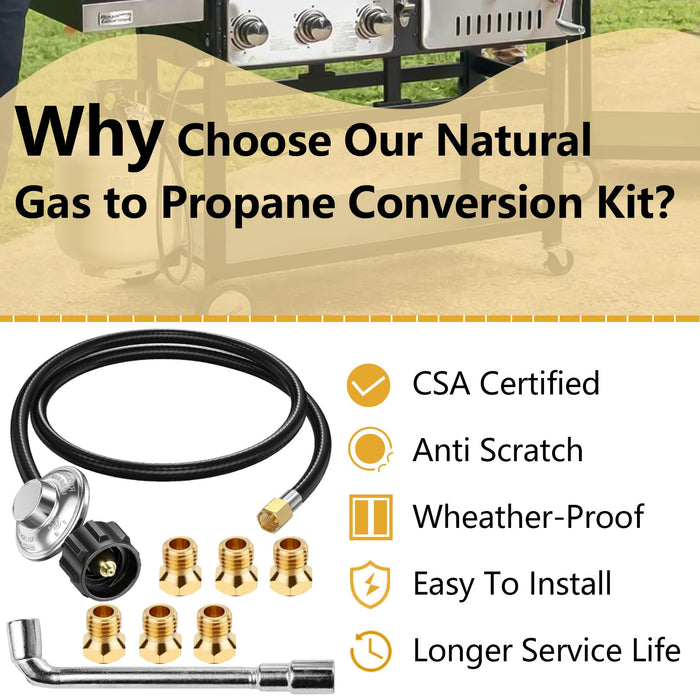 Upgraded 23080901 Natural Gas to Propane Conversion Kit Compatible wit ...
