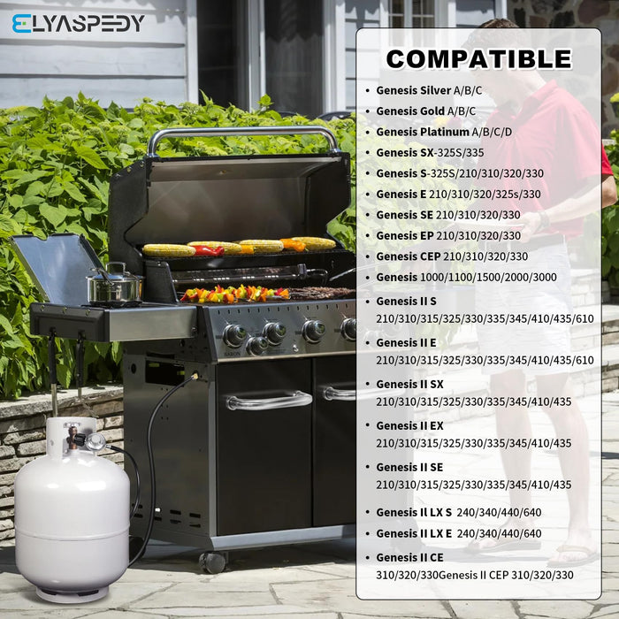 Elyaspedy 23080901 Natural Gas to Propane Conversion Kit for Weber Gen ...